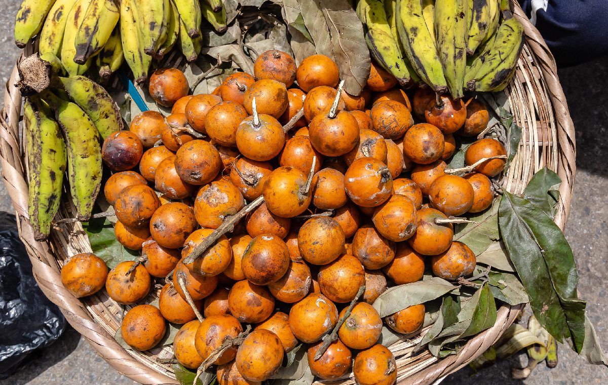 A basket of oranges and bananas on the ground.