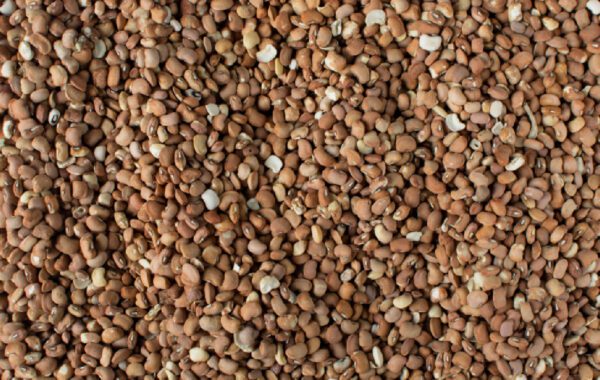 A close up of some brown and white gravel