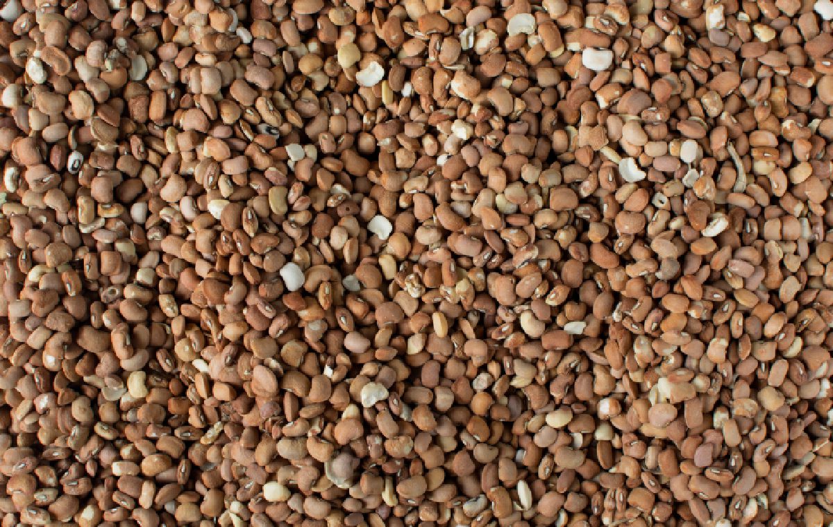 A close up of some brown and white gravel