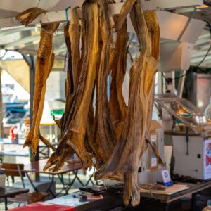 A bunch of dried fish hanging in the air