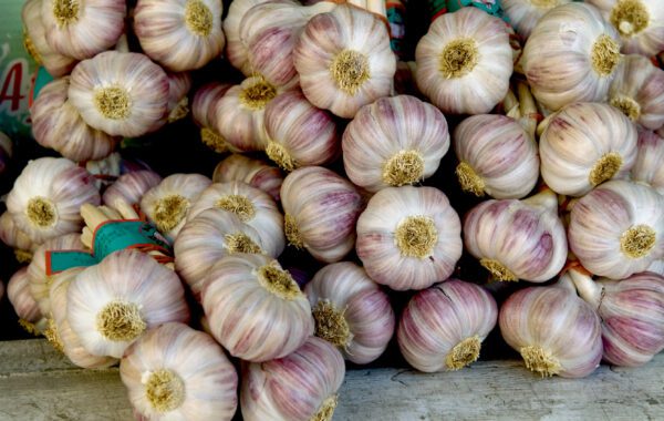 A pile of garlic sitting on top of each other.