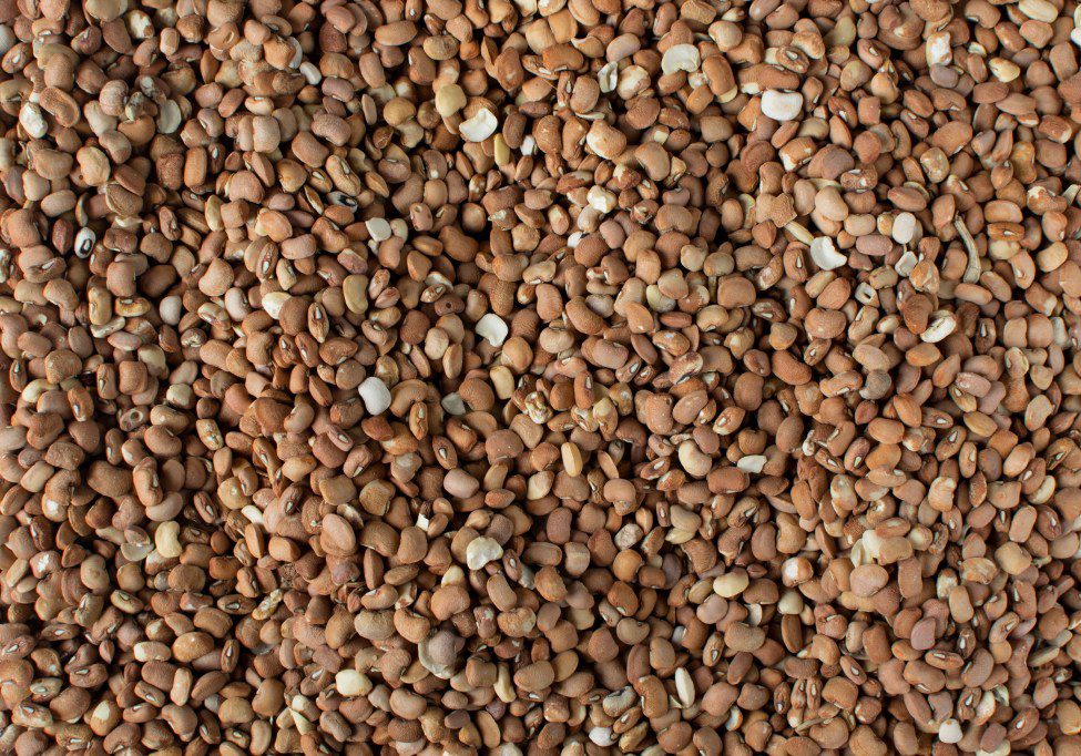 A close up of some brown beans